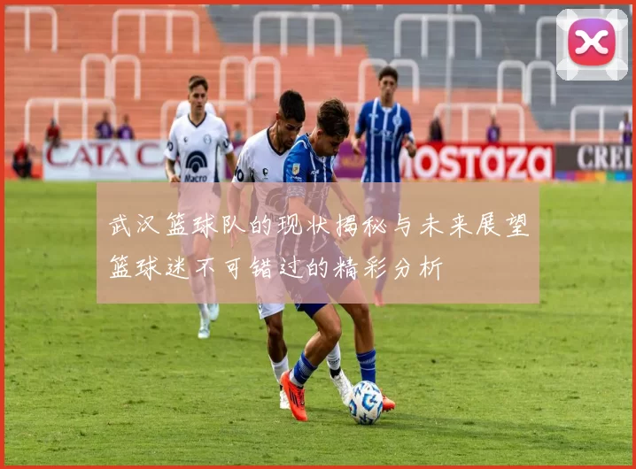武汉篮球队的现状揭秘与未来展望篮球迷不可错过的精彩分析