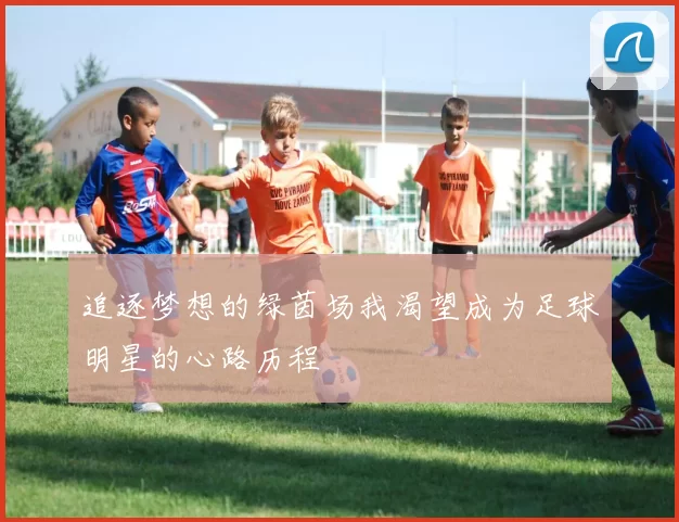 追逐梦想的绿茵场我渴望成为足球明星的心路历程