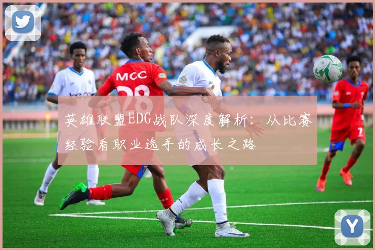英雄联盟EDG战队深度解析：从比赛经验看职业选手的成长之路